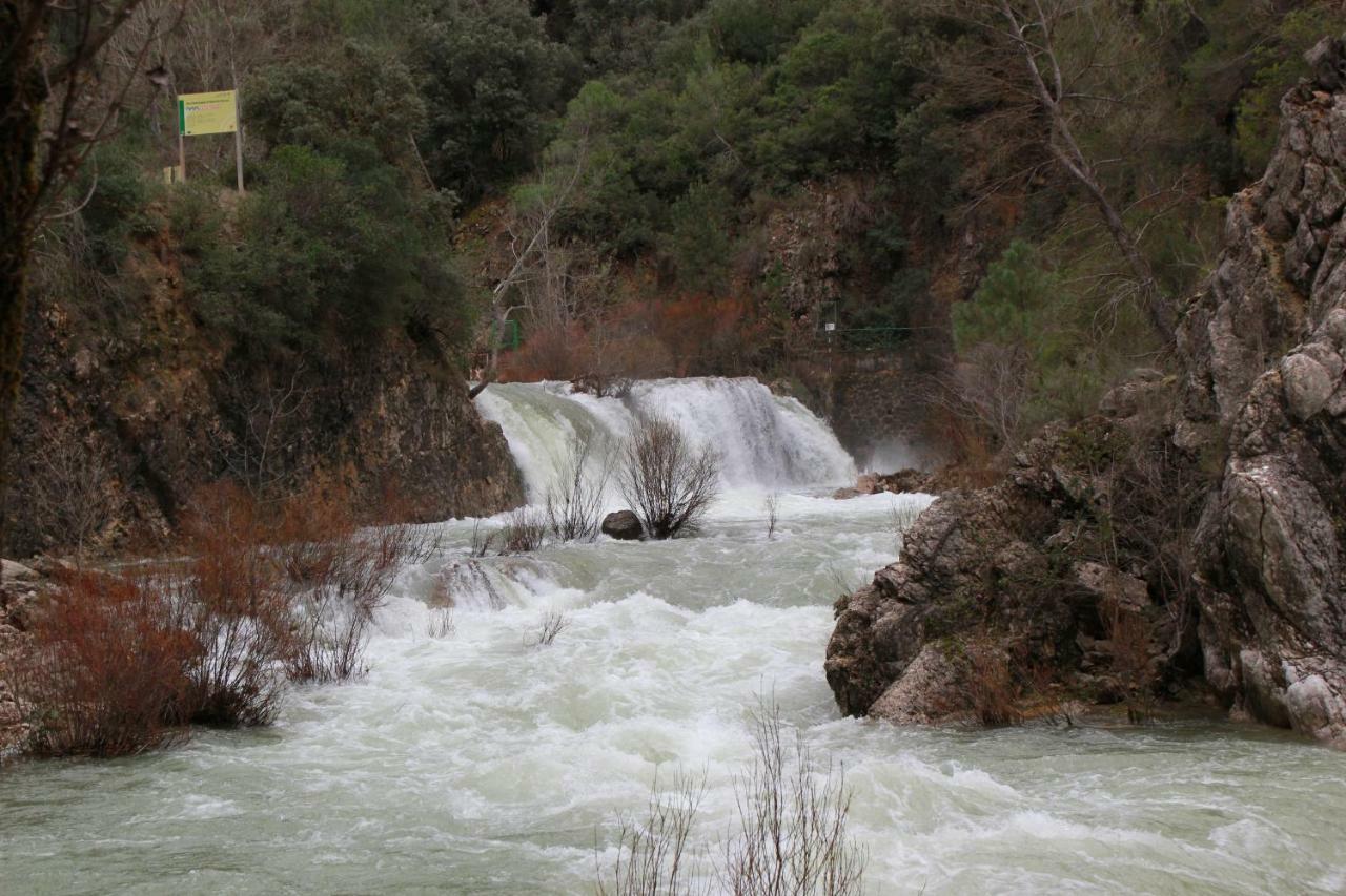 Alojamiento Aguasblanquillas Coto Rios Exterior foto